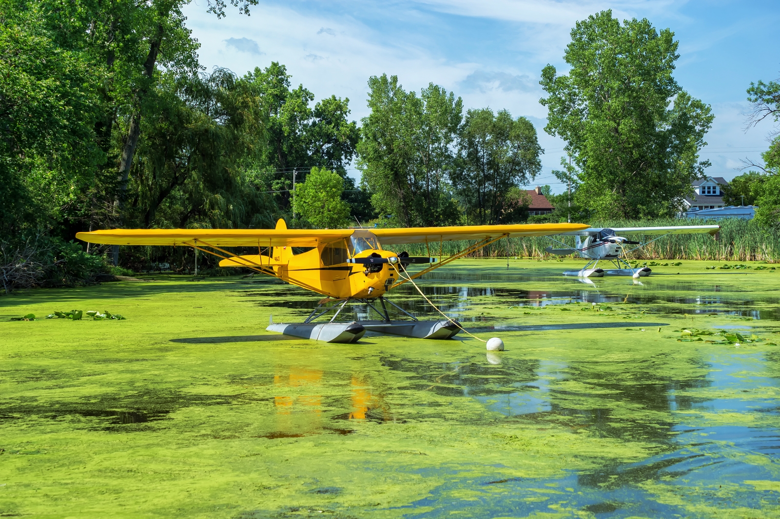 N98413 - Piper J3 Cub