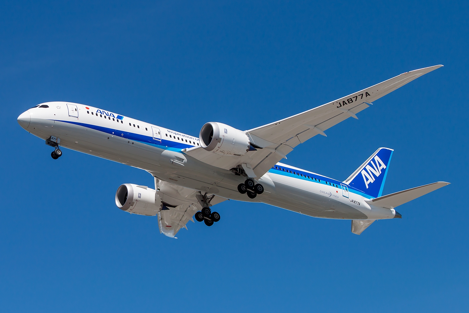 JA877A - Boeing 787-8 DREAMLINER