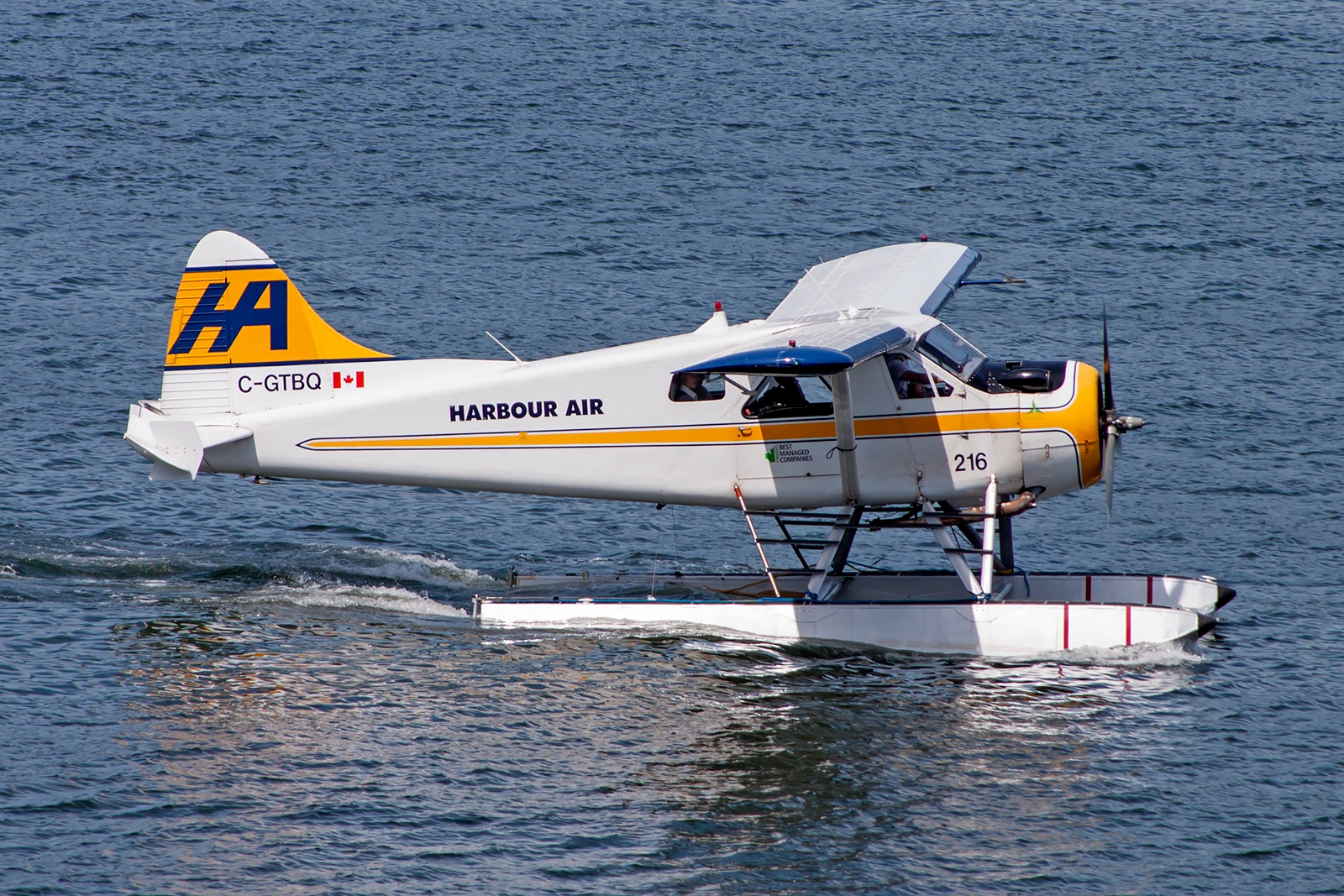 C-GTBQ - De Havilland Canada DHC-2 Mk1 Beaver